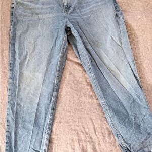 Everlane Cheeky Jean